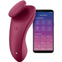 Satisfyer Sexy Secret Connect App